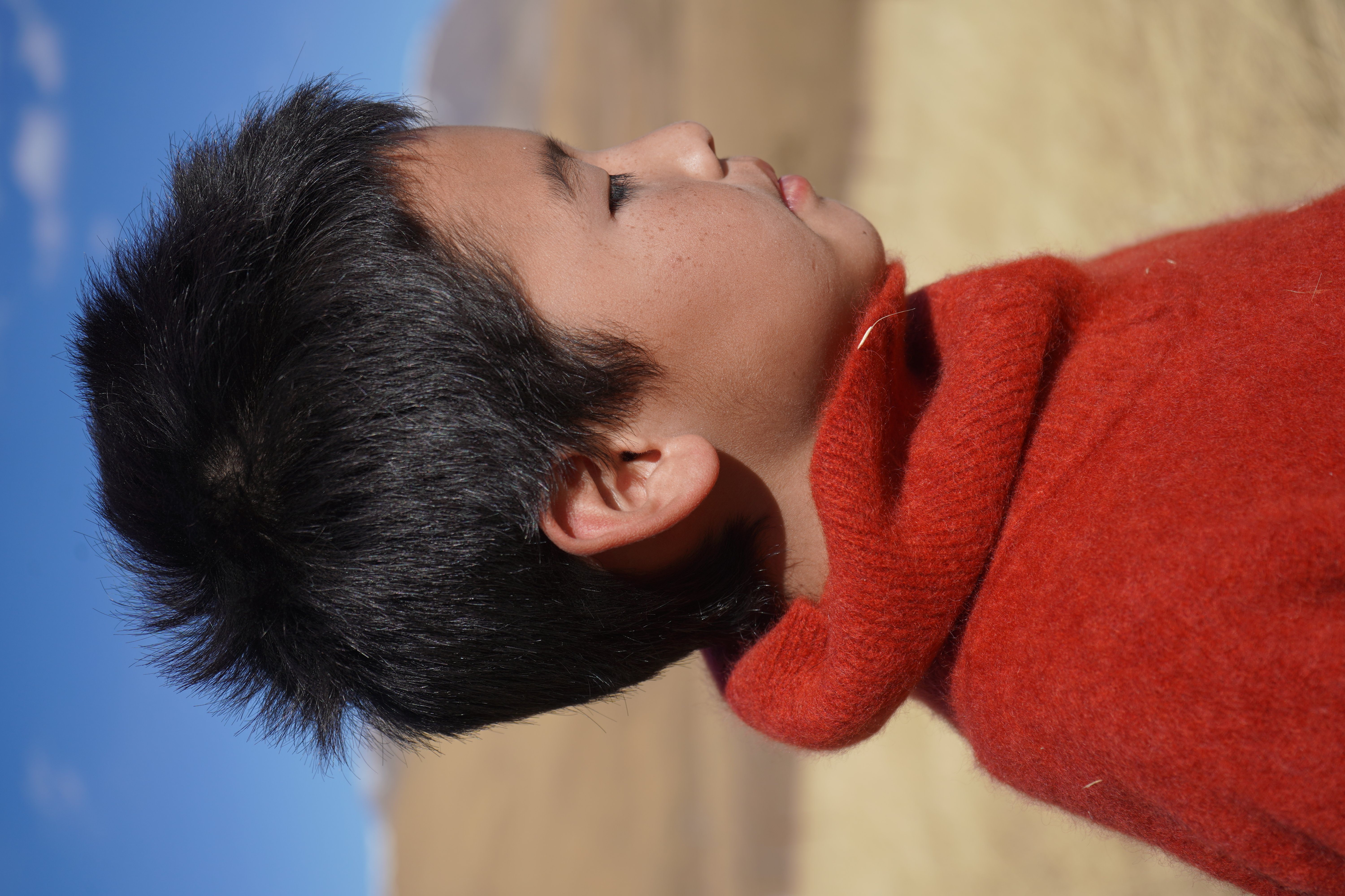 Profile of a young boy