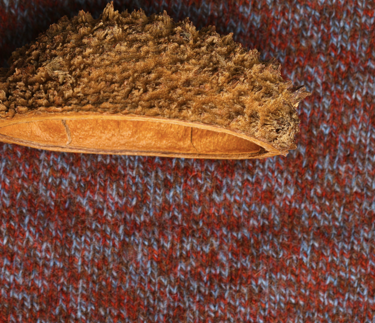 Main product view