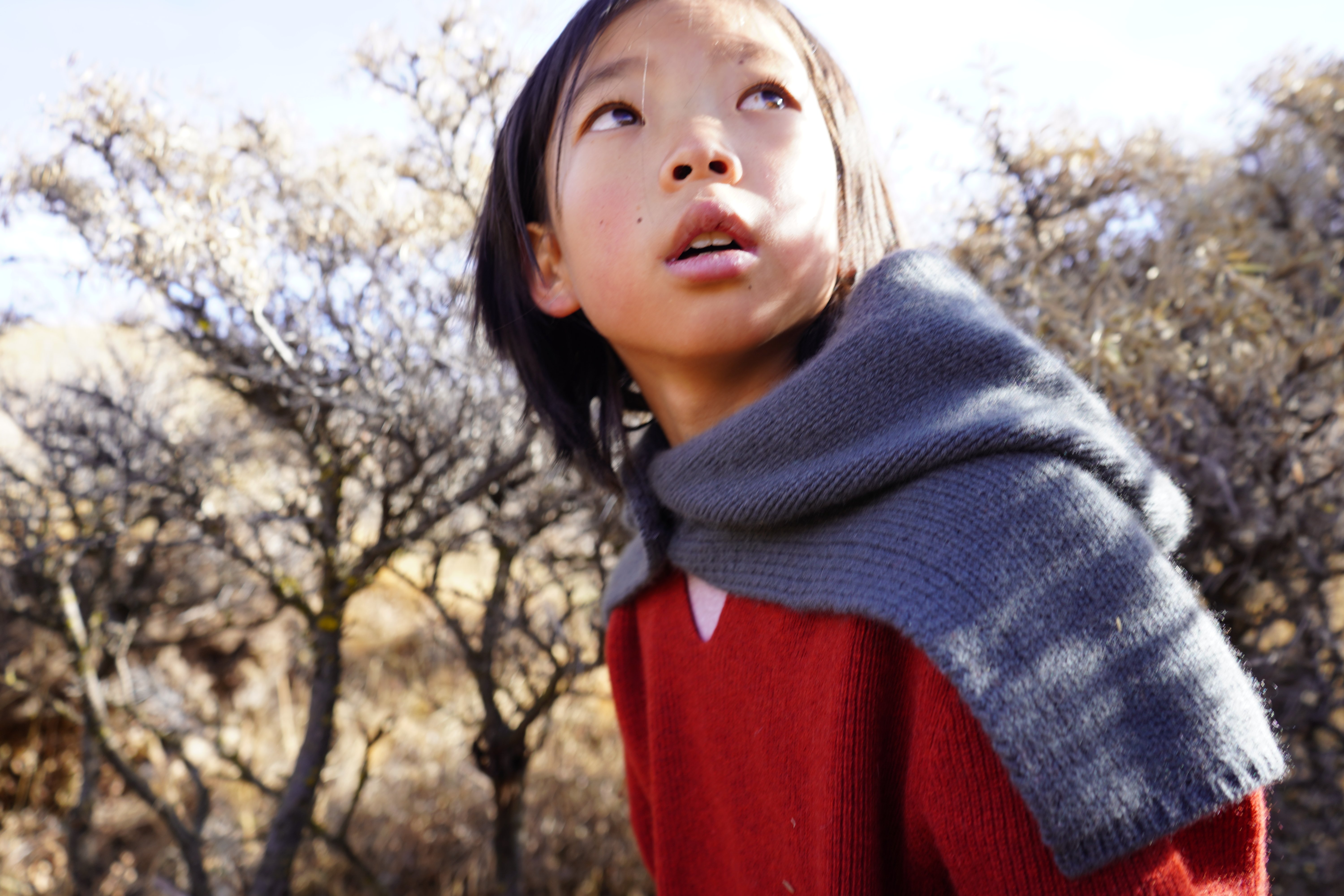 Girl looking up